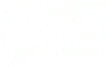 about w3 initiative